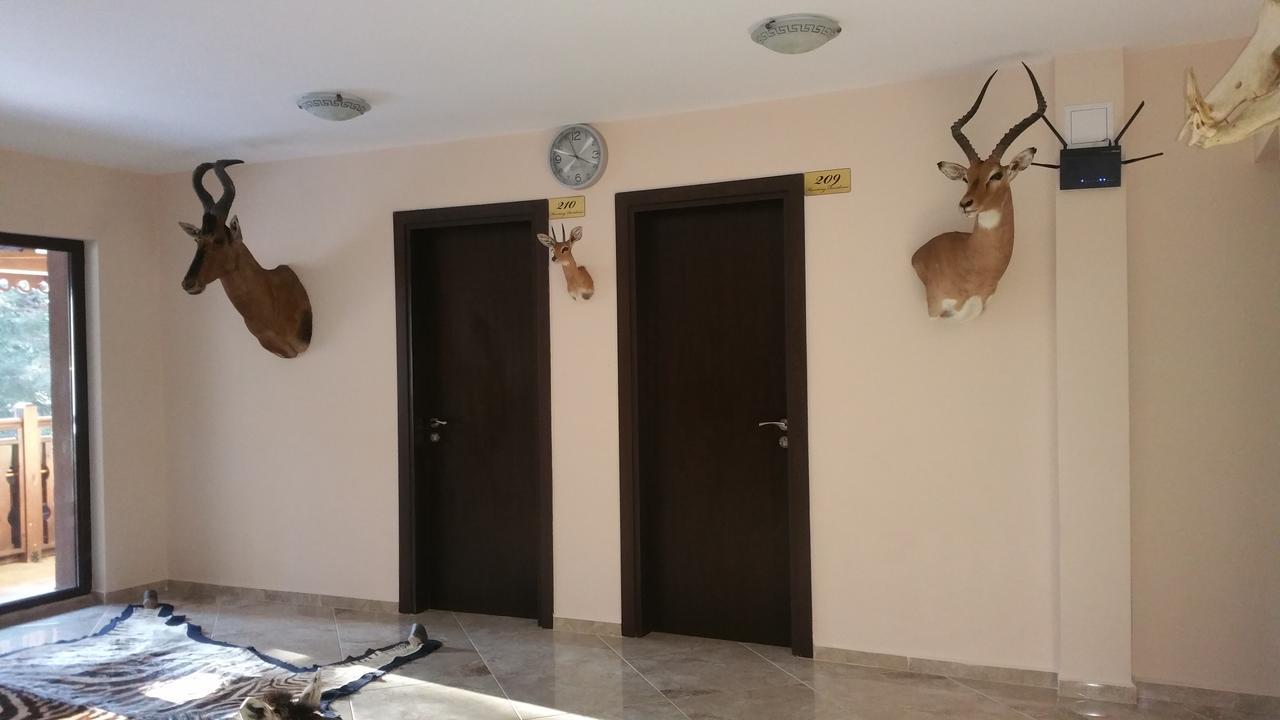 Hunting * פניצ'ישטה